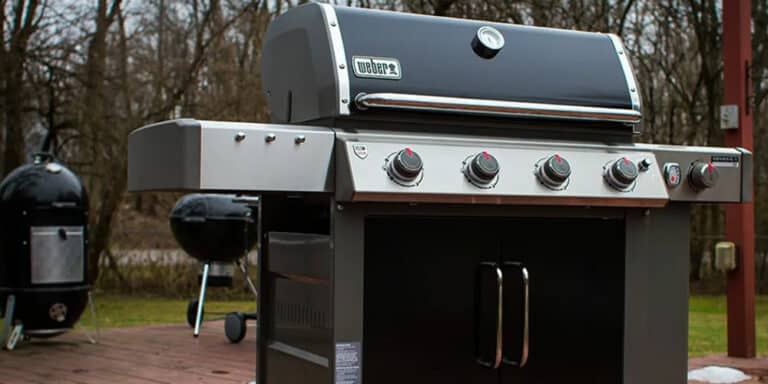 The Best Weber Grills 2022 – Reviews and Buying Guide